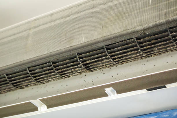 Best HVAC Air Duct Cleaning  in Port Salerno, FL
